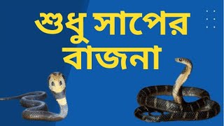 সাপের বাজনা | বিনের বাজনা শুধু  নাচের জন্য | নাগ নাগিনের বাজনা | Bin bajiye