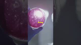 Deep Dive: 5 Mind Blowing Biocomputing Facts! #facts #futurescience #news #bio #viral #computer