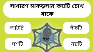 সাধারণ মাকড়সার কয়টি চোখ 👀 থাকে / General Knowledge Question in Bangla / Gk Question / Bangla Quiz