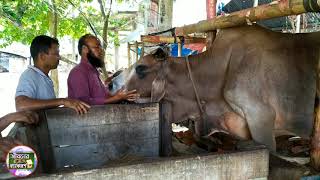 ইতিহাসখ্যাত এই পাগল আর নেই | মহামানব গণেশ পাগল সেবাশ্রম | কদমবাড়ি, রাজৈর, মাদারিপুর | জীবনের ব্যাকরণ