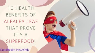 10 Health Benefits of Alfalfa Leaf That Prove It's a Superfood!