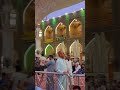 ziyarat Imam ali as najaf #waheedalinajafi #youtubeshorts