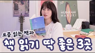 책 덕후의 최애 독서 장소 TOP3 📖 요즘 읽는 책, 독서대 추천까지!