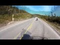 motorcycle to trout river 2016 newfoundland fall colours