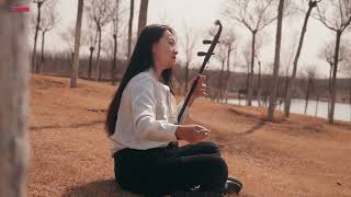 二胡|erhu|《菊花台》周杰伦 |中国民乐|Chinese folk music@Huahaixunyin