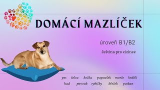 🐕 Domácí mazlíček - čeština pro cizince (úroveň B1/B2)