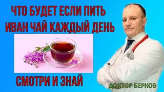 Этот Напиток Излечит от Многих Болезней! Иван Чай!  Уникальное Лекарство Для Здоровья!