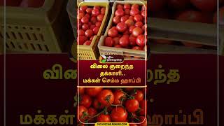 விலை குறைந்த தக்காளி..மக்கள் செம்ம ஹாப்பி | #shorts | #tomato | #tomatorate