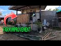 KAILANGAN MATAPOS BAGO MAGPASKO FARM IMPROVEMENT