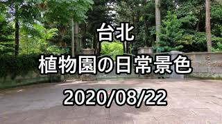 【日常景色】台北植物園へ行ってみた！台湾のイマは？現地よりお届けします！2020/08/22