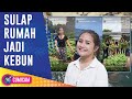 Panen Sayur Mayur, Prilly Latuconsina Sulap Rumah Mewahnya Jadi Lahan Hijau - Cumicam