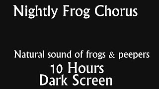 Nightly Frog (Peepers) Chorus - 10 Hours of Dark Screen | Natural Sound