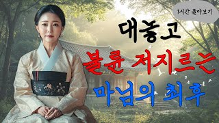 [들꽃야담] (1시간 몰아보기)  /야담/고전/야담이야기/고전소설/자면서듣는이야기