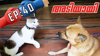 ഇവർ പിരിഞ്ഞു | Puppykuttan webseries EP 40 Malayalam comedy pet short film talking dog