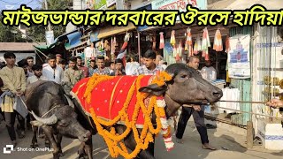 মাইজভান্ডার দরবারের ঔরসে হাদিয়া | Maizbandar Darbar | গরু মহিষের লম্বা লাইন |