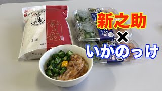 【ねばっと！いかのっけ（醤辛）】新潟米「新之助」 至高のコラボプロジェクト （三条市・飛鳥フーズ様）