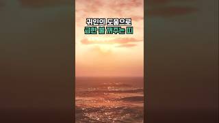 귀인의 도움으로 급한 불 꺼주는 띠 #부와행운 #재물운 #띠별운세