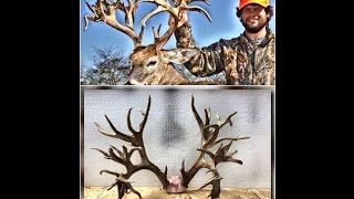 Could This TN Buck Be The World Record Free Range B\u0026C Non-Typical? LOOK