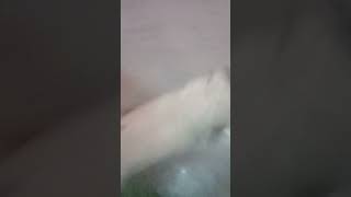 Rubi ne aaj ghar ka bura HAL kar Diya #video