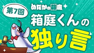 めだかの箱庭 第7回箱庭くんの独り言 23時までのショート