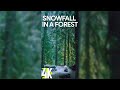 4K Snowfall in a Mysterious Forest for Vertical Screens - 3 HRS White Noise for Sleep