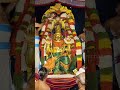 Garuda Gamana Tava | Gaurda sevai | Thirumalai thiruppathi #garudagamana #garudasevai #om #utsavam