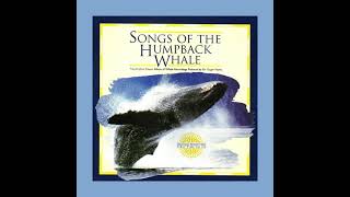 “Solo Whale” - Songs of the Humpback Whale