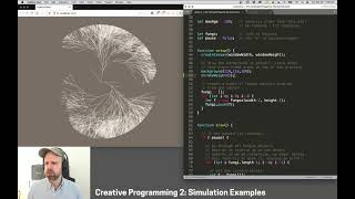 CP2: Snowstorm and Random Growth Examples – Simulation in p5.js
