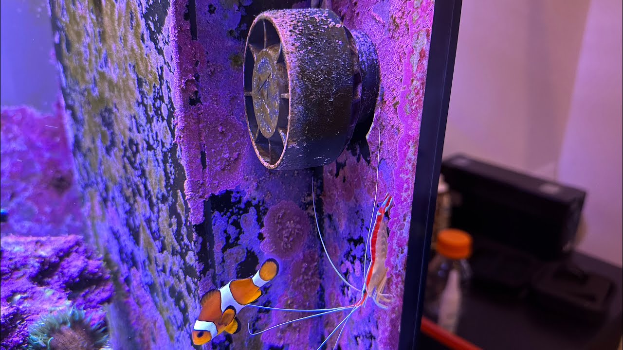 Explained Reef Tank Powerhead Wavemaker Placement Youtube