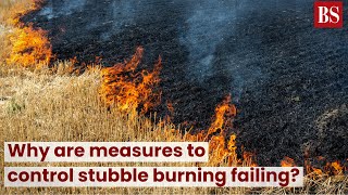 Why are measures to control stubble burning failing? #TMS