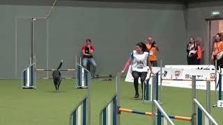 AWC2022 agility large individual Odile \u0026 Move(1st) vs. Králová \u0026 Say(2nd)