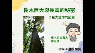 【樹老師講堂】樹木巨大與長壽的秘密－２巨大生命的起源