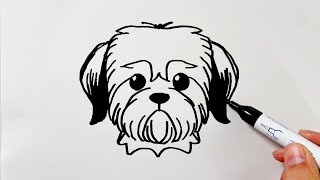How to Draw a Shih Tzu Dog