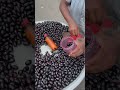 instant blackberry masala making of bangladesh 🤤😋 shorts blackberry