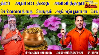 திடீர் அதிர்ஷ்டத்தை செல்வவளத்தை அள்ளித்தரும் அற்புதமான செடி | நித்யகல்யாணி |Nithyakalyani| ருத்ரன்ஜி