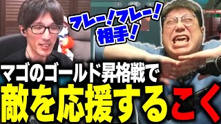 マゴにゴールドに上がって欲しくない一心で相手の応援を始めるこく兄(2025/2/13)