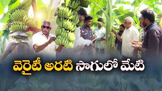 Farmer Farming 12 Varieties of Banana | Guntur Dist | 12 రకాల అరటితోటల్ని సాగు చేస్తున్న రైతు