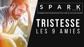 Les 9 meilleures amies de la tristesse I Spark Le Show | Franck Nicolas