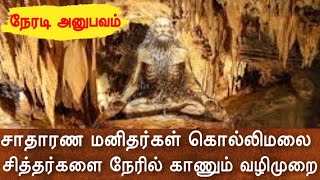 சாதாரண மனிதர்கள் கொல்லிமலை சித்தர்களை நேரில்காணும் வழி முறை |Kolli Malai Secrets |