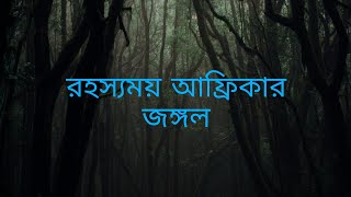 রহস্যময় আফ্রিকার জঙ্গল