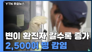 변이 확진자 갈수록 증가...2,500여 명 주요 변이 감염 / YTN