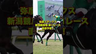 弥彦ステークス  新潟競馬場   第11レース  直感予想！