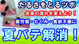 【夏バテ解消に！】疲労感・だるさ・食欲不振・倦怠感・むくみ・・に効くツボで一気に解決。足の体操で血流もアップ。全身のめぐりを調整しよう！