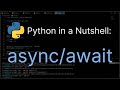 Python in a Nutshell - Async/Await