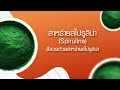 รีวิวอาหารปลา ที่รวม 5 สิ่งที่ปลาต้องการมากที่สุด boost 5 in 1