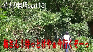 【山小屋生活】【VLOG】ツムラ三枚刃で梅を救出する【Mowing man】【草刈り動画ｐａｒｔ１５】