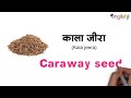 50 spices name in hindi and english मसालों के नाम इंग्लिश और हिंदी में spices vocabulary