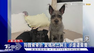 假領養真虐待 愛媽控飼主詐醫藥.飼料費｜TVBS新聞 @TVBSNEWS01