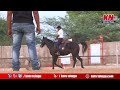 michael horse riding academy తక్కువ ఫీజు లో హార్స్ ట్రైనింగ్ kntvtelugu