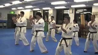 極真空手清武会 kyokushin seibukai 三戦 sanchin 転掌 tensho